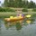 laura_nelson2883