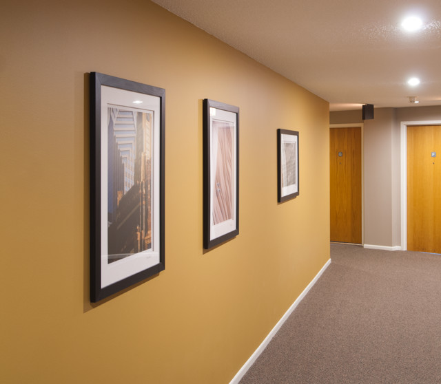 Benjamin Moore's Turmeric as the accent wall Contemporary Hall Chicago by Bon Brise
