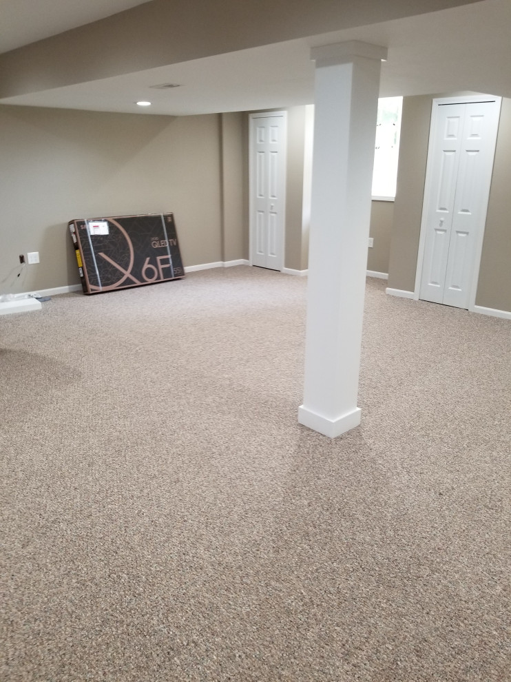 Ann Arbor / Condo Finished Basement with Bathroom