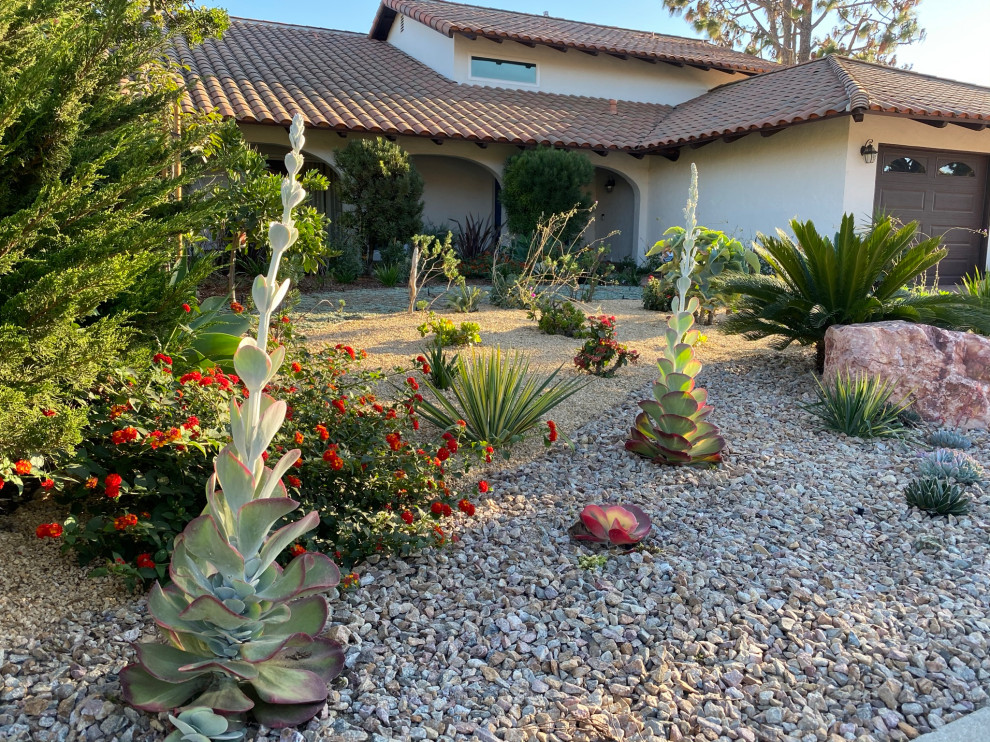 Rancho Palos Verdes, CA - Front Yard Regenerative Renovation