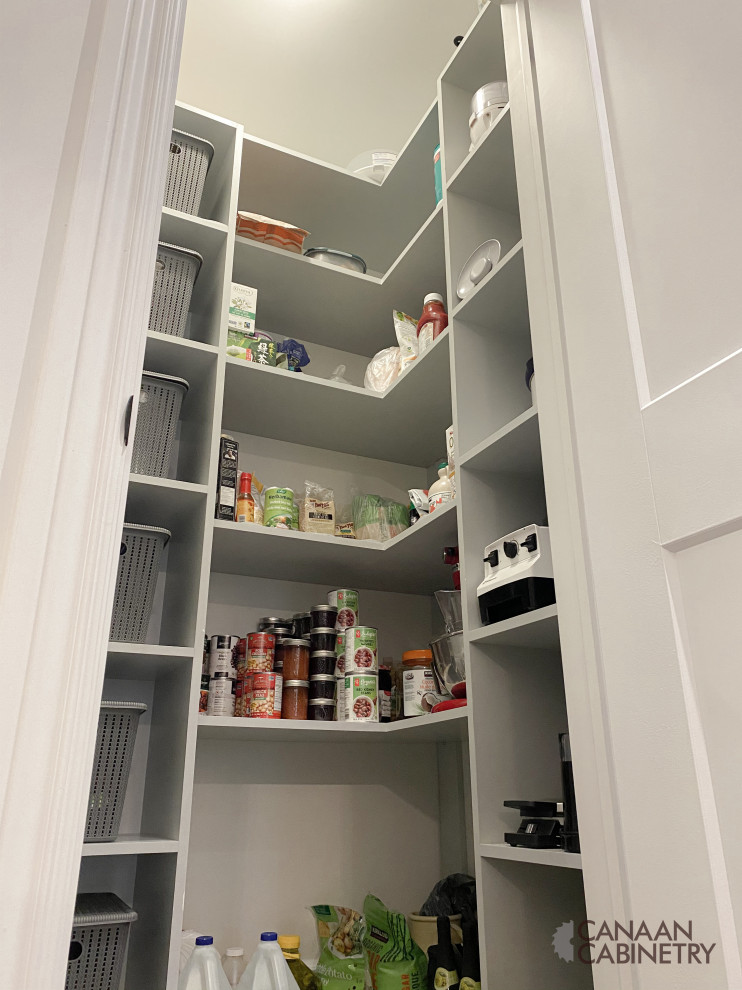 Home design - transitional home design idea in Toronto