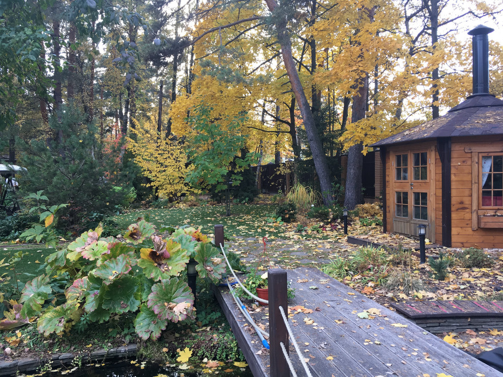 Белкин сад. Осень 2019