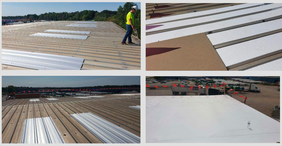 TPO Roofs