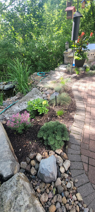 Woodland Restoration