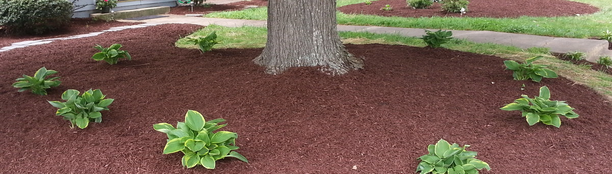 Accu Cut Lawn Care Landscaping Llc Burlington Nc Us 27217