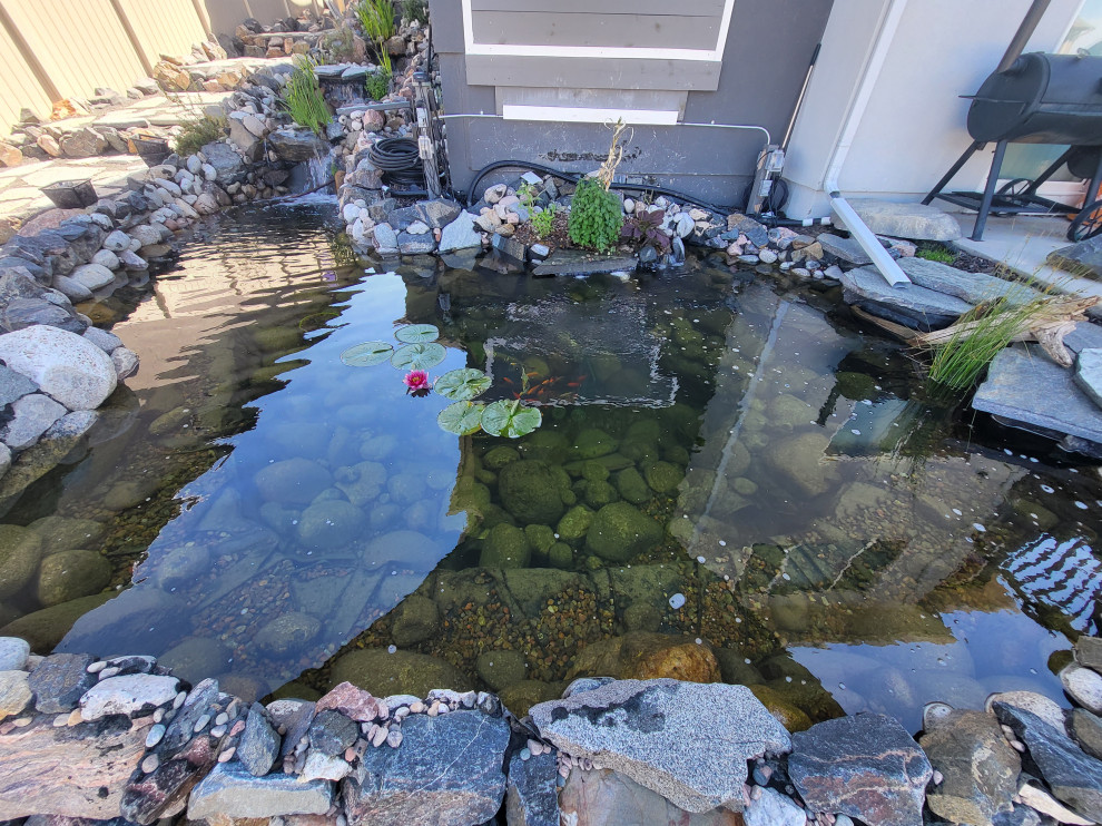 Custom✨ Koi Pond