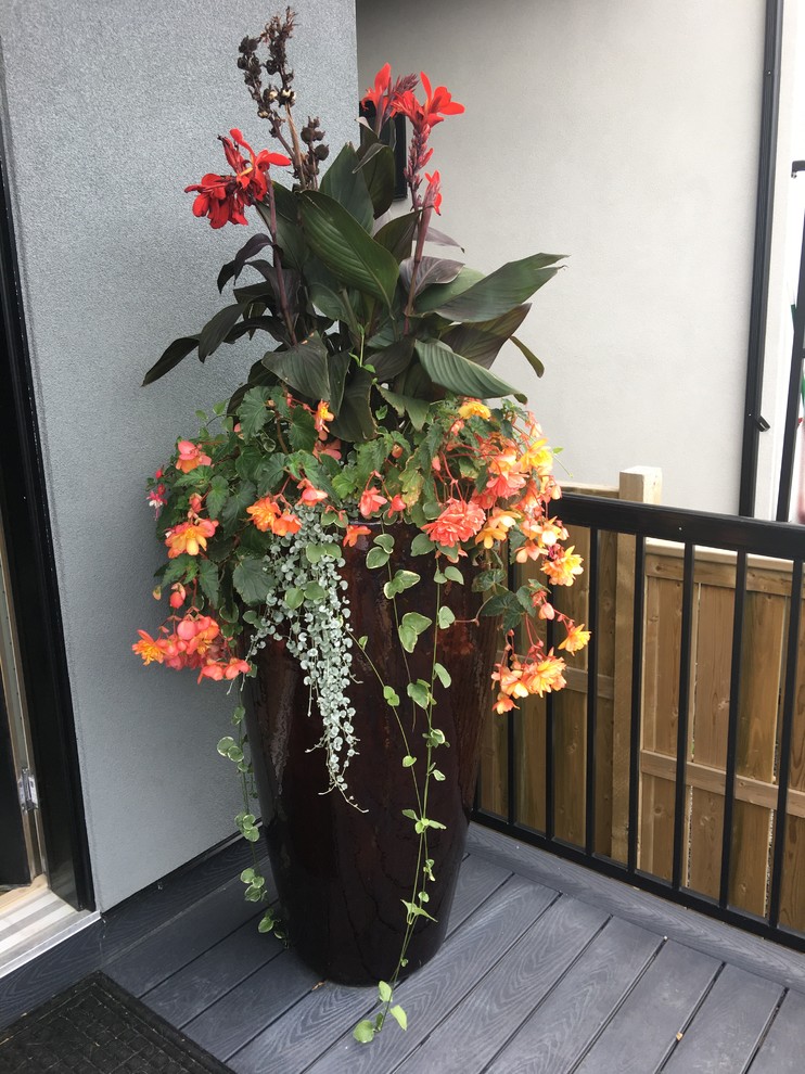 Vintage garden design Calgary by Vintage Garden Design Houzz