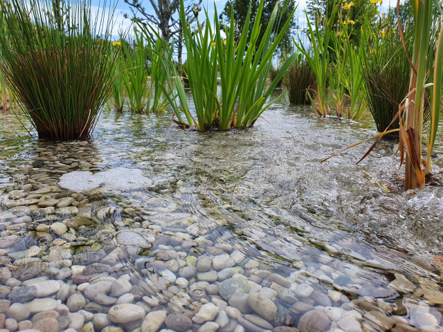 Natural swimming pool montagne-piscine
