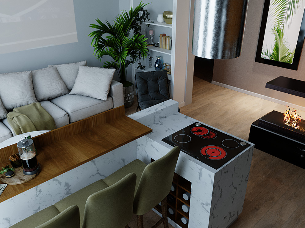 Дизайн проект 2х комнатной квартиры в современном стиле