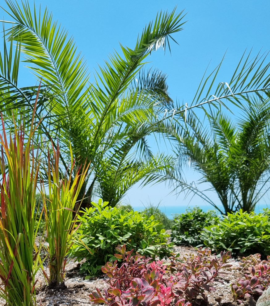 В лучах южного солнца.