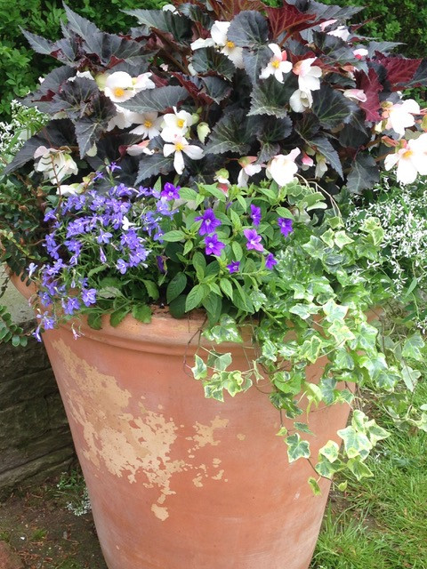 Spring and Summer Container Gardens