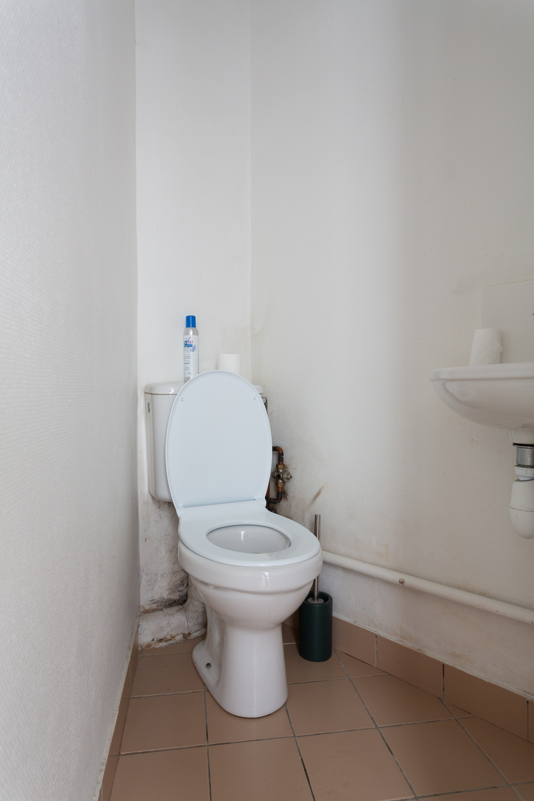 Paris 19 – De l’ancien au contemporain : une rénovation sur-mesure"
