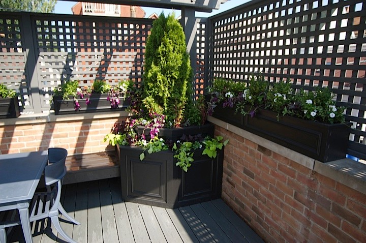 Inspiration for a mid-sized transitional rooftop deck in Chicago with a pergola.