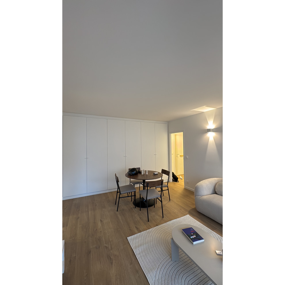 Projet Aligre, rénovation d'un appartement de 45m2