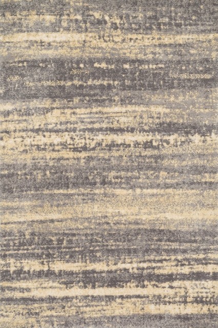 Loloi Discover Collection Rug, Gray and Gold - Contemporary - Area ... - Loloi Discover Collection Rug, Gray and Gold, 3'6