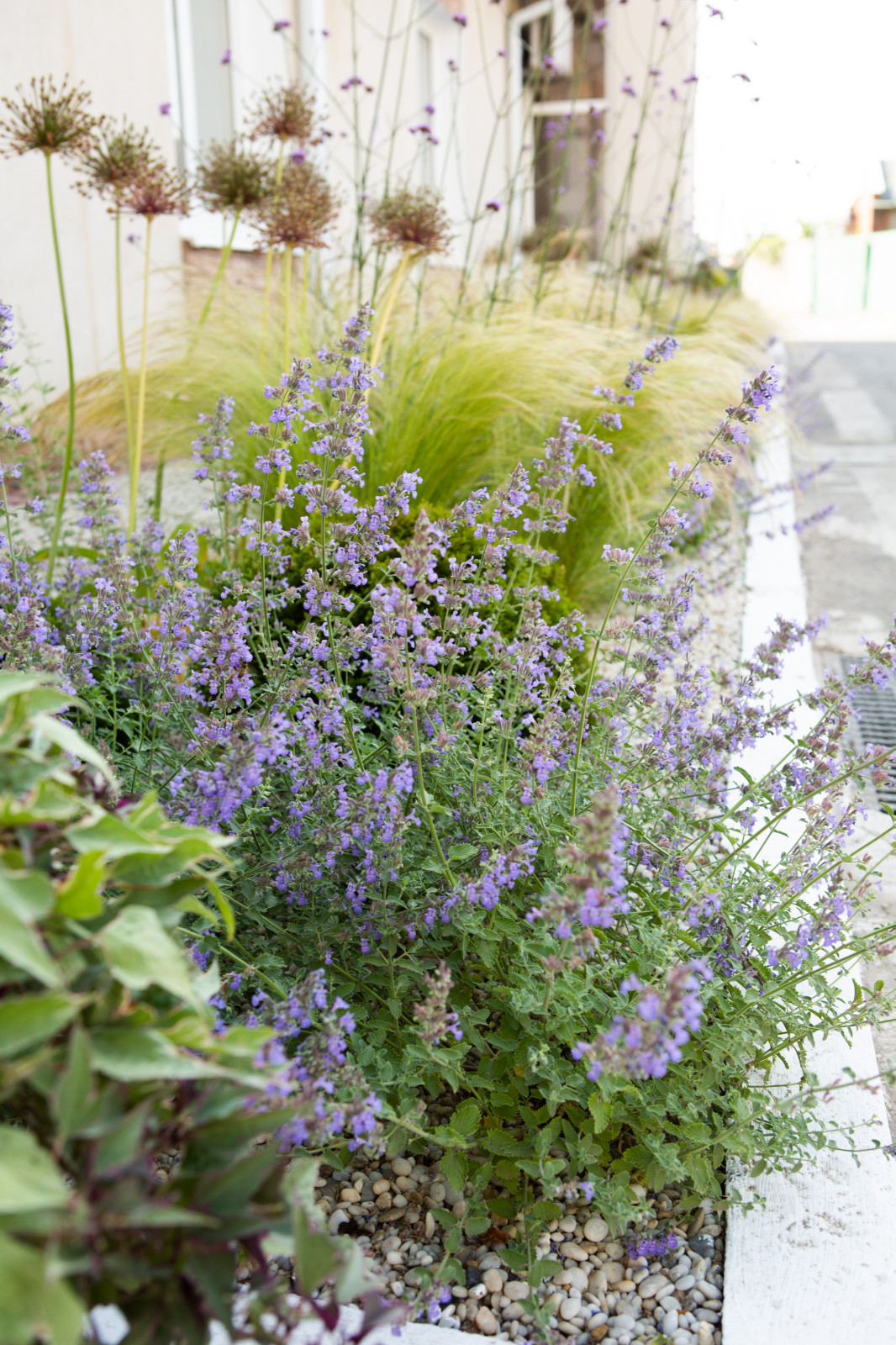 Озеленение территории офисного здания