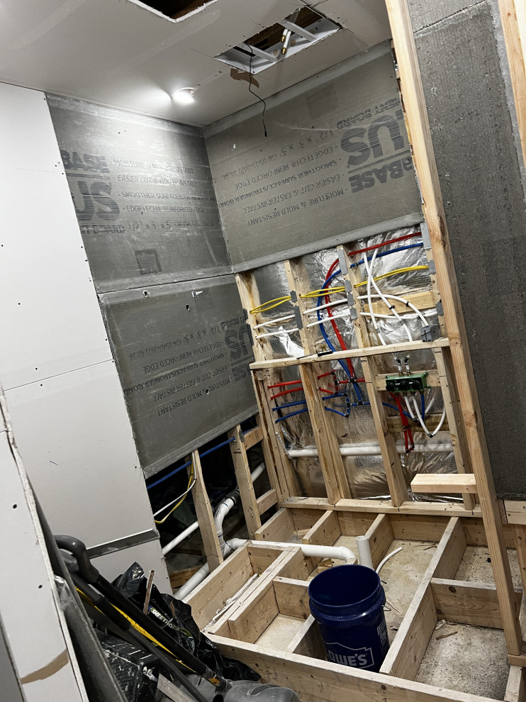 Basement Remodel