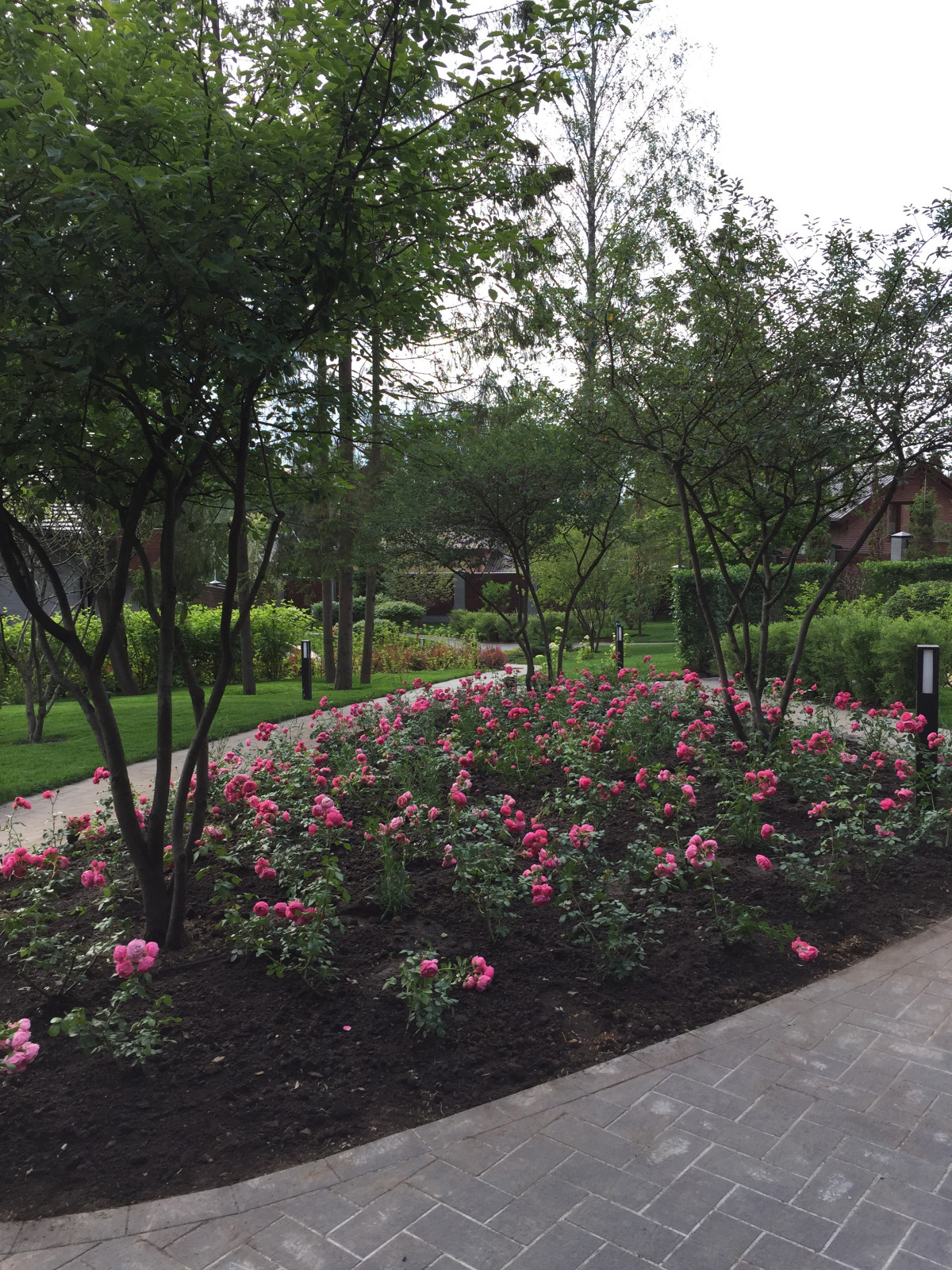 Террасный сад, Новая Рига