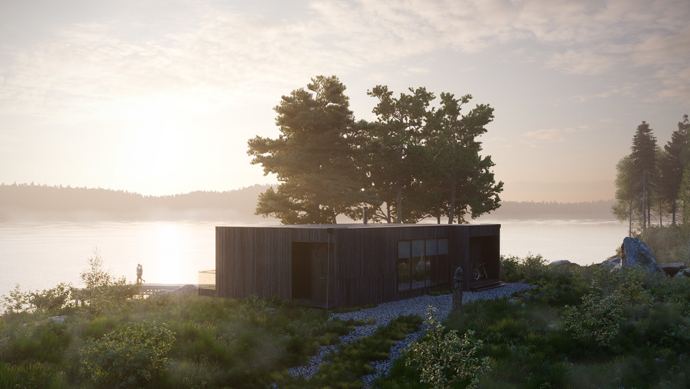 Визуализация дома в Карелии для архитектора Майи Баклан