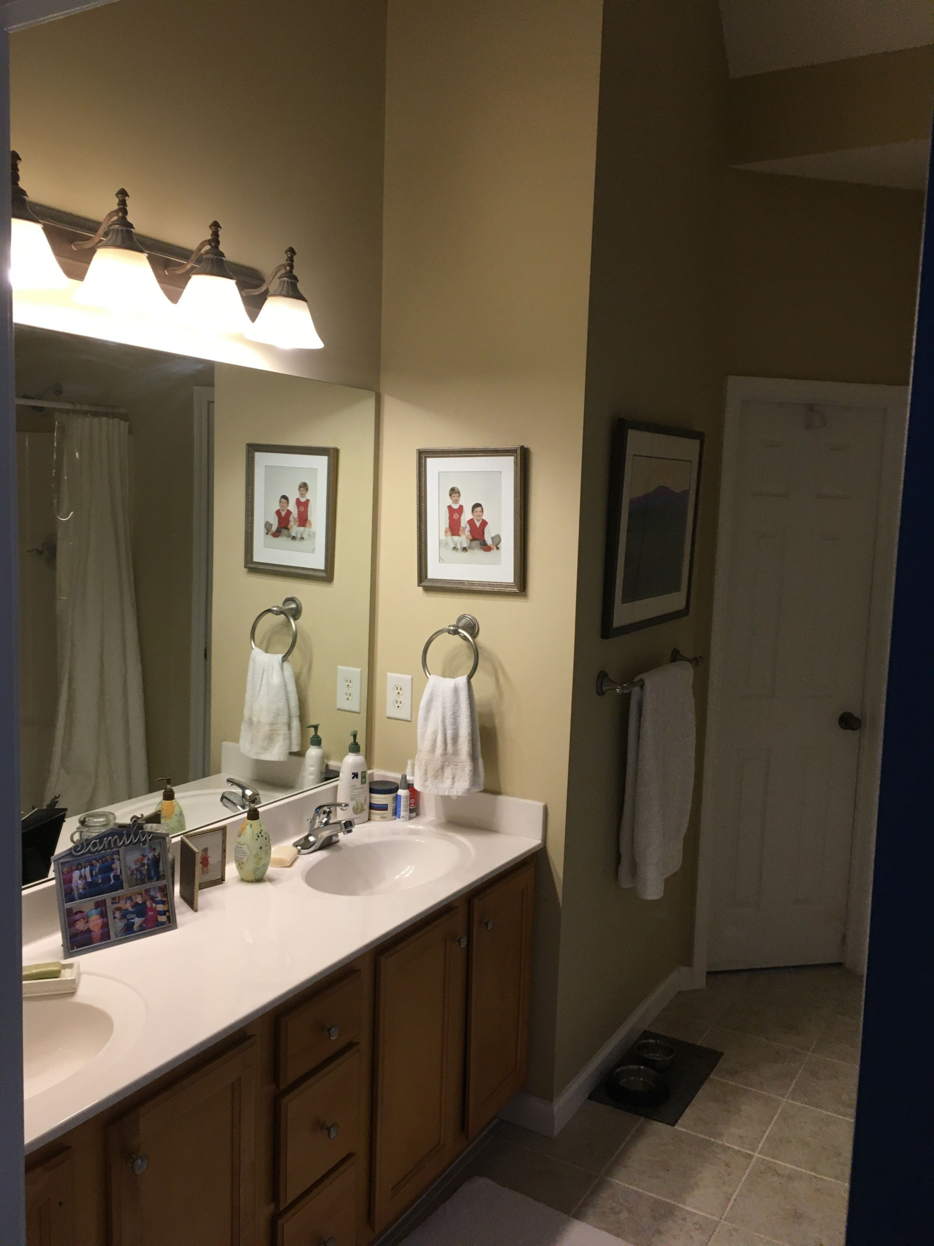 Holland View Master Bathroom