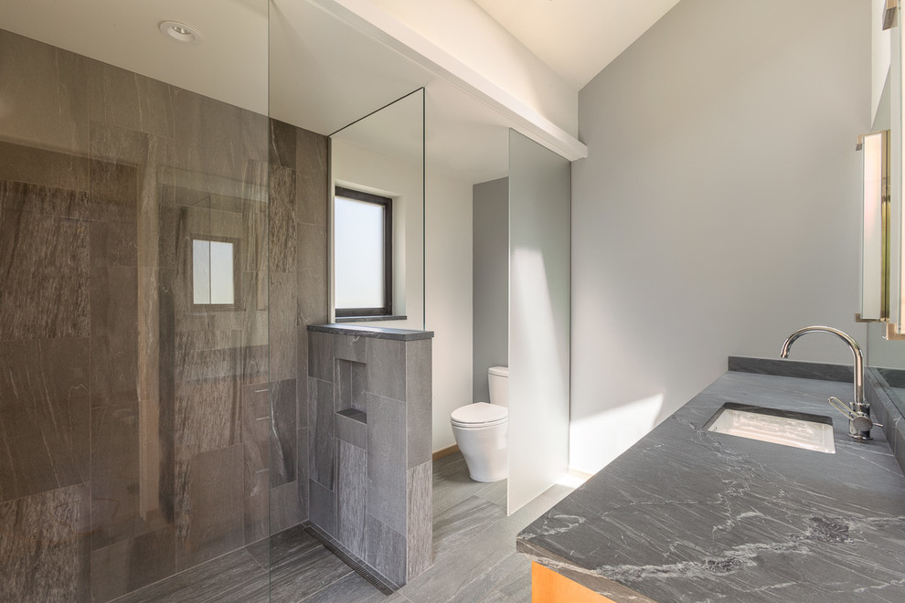 Inspiration for a mid-sized contemporary master bathroom in San Francisco with an undermount sink, flat-panel cabinets, light wood cabinets, granite benchtops, a curbless shower, a one-piece toilet, gray tile, ceramic tile, grey walls and ceramic floors.