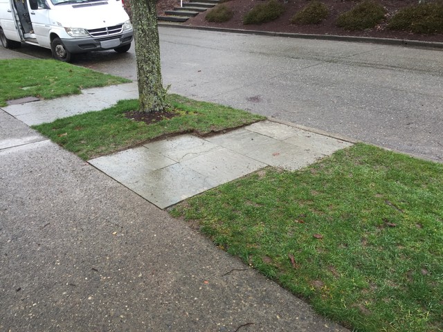 West Seattle Hardscapes klassisk-have