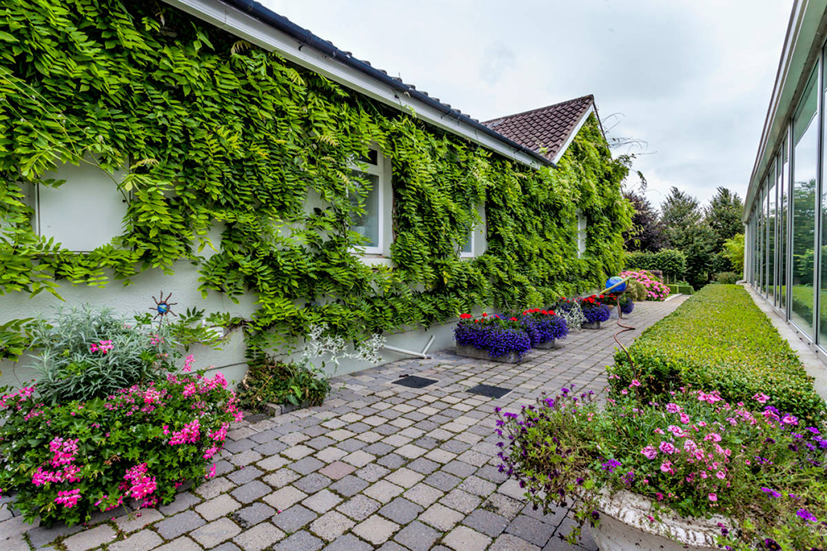  home garden ideas

