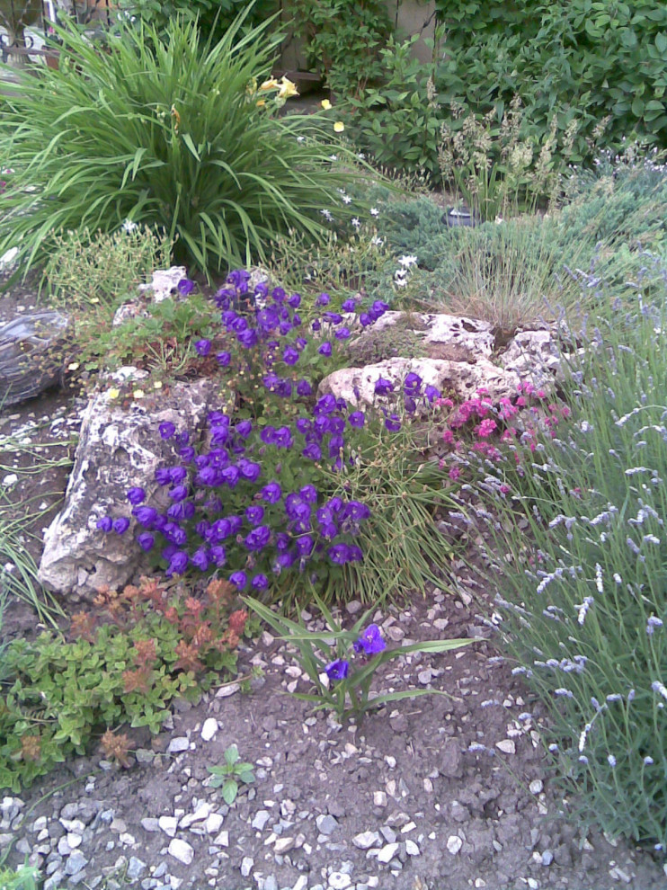 Альпийская горка