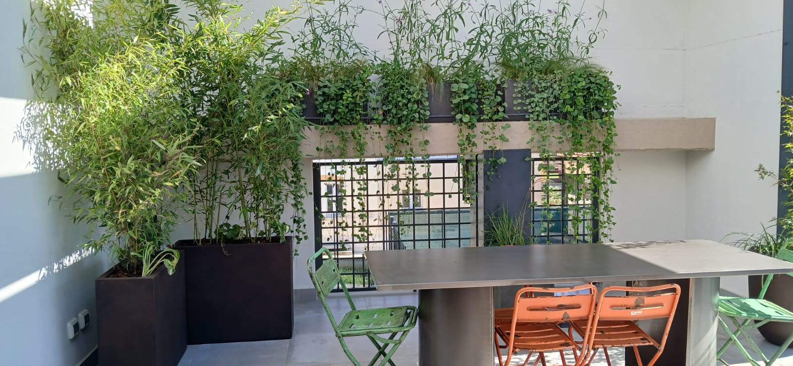 Realizzazione Wild in the city