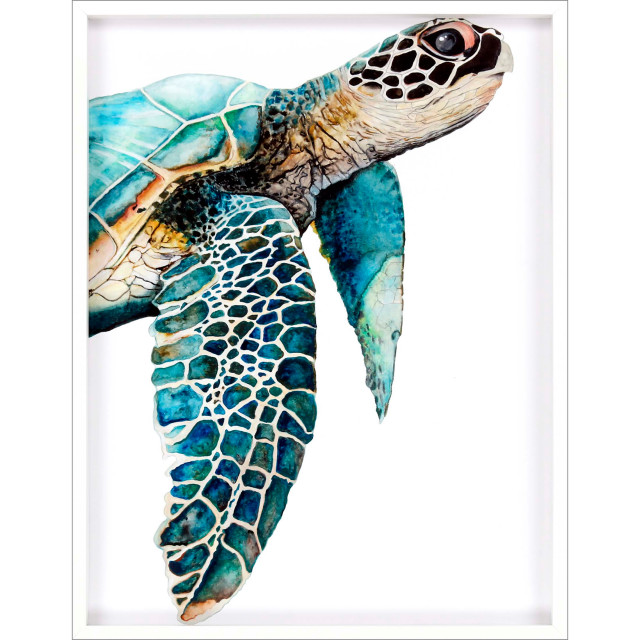 Great Sea Turtle, Turquoise - Beach Style - Prints And Posters - by ...