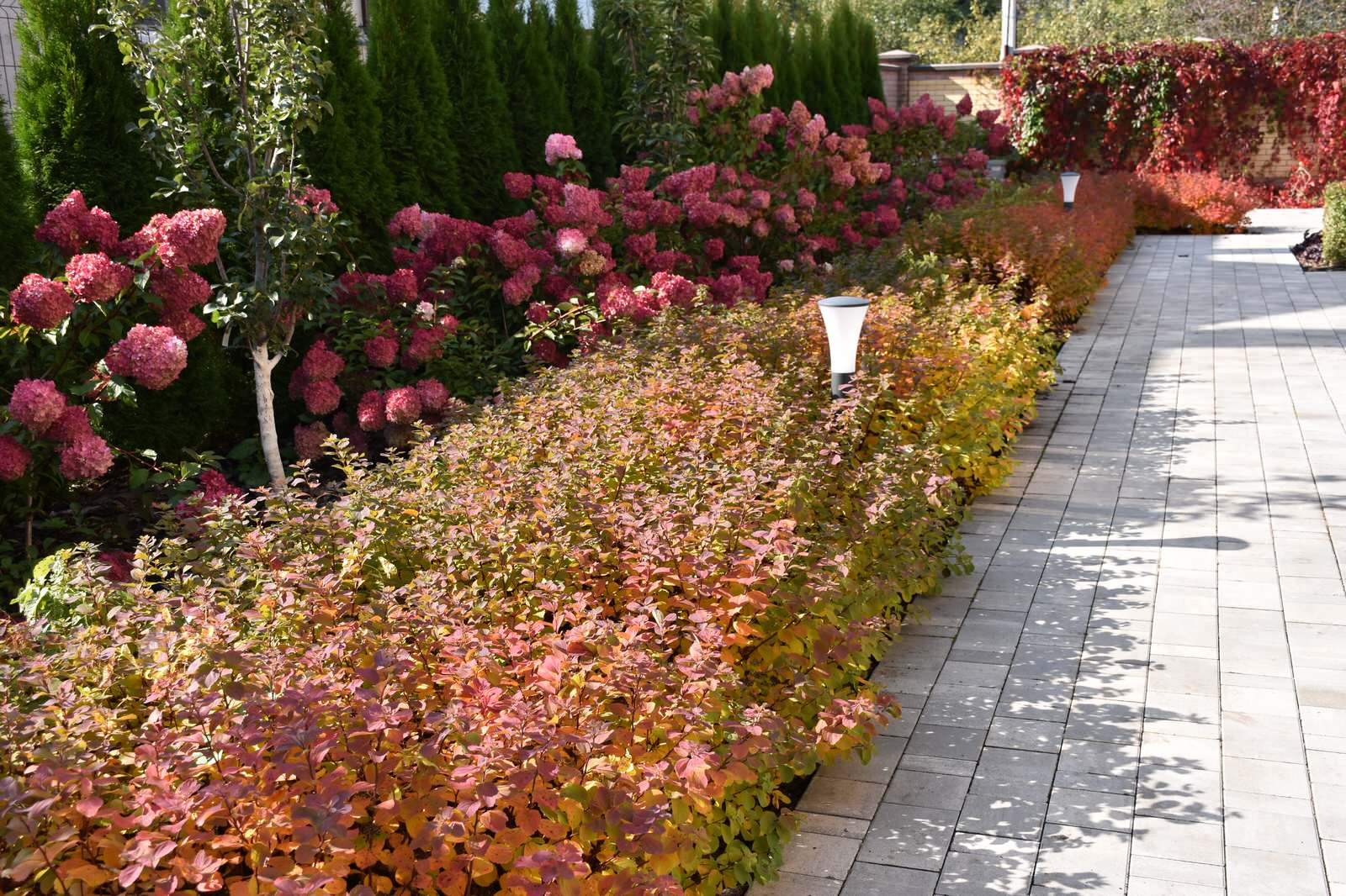 Игра в геометрию