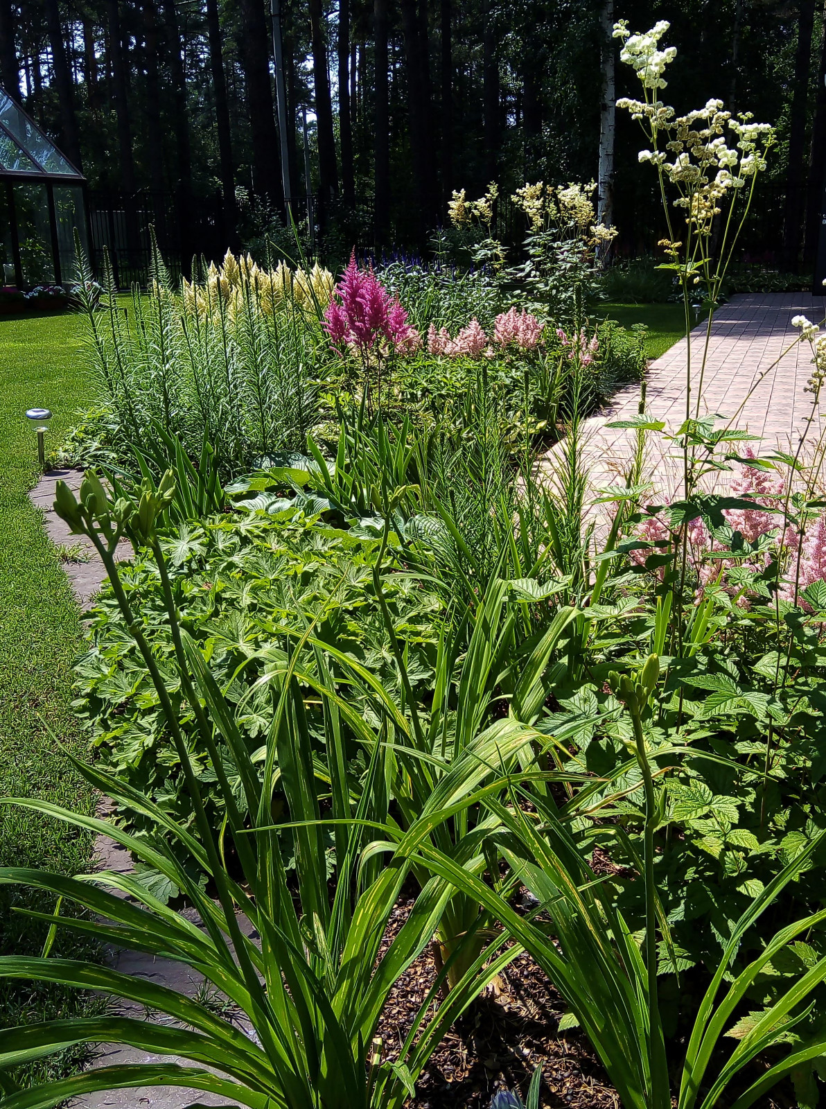 Цветники под пологом леса