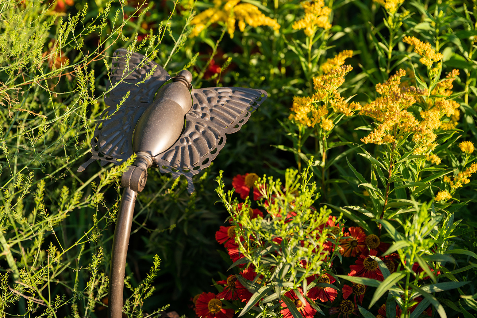 Фотосъемка Выставочного Сада на САДЫ и  ЛЮДИ   2019   -  Сад Наследие . ГРАН-ПРИ