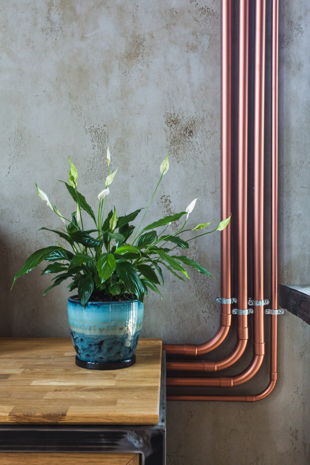 В гостях: Современный лофт, наполненный арт-объектами и музыкой