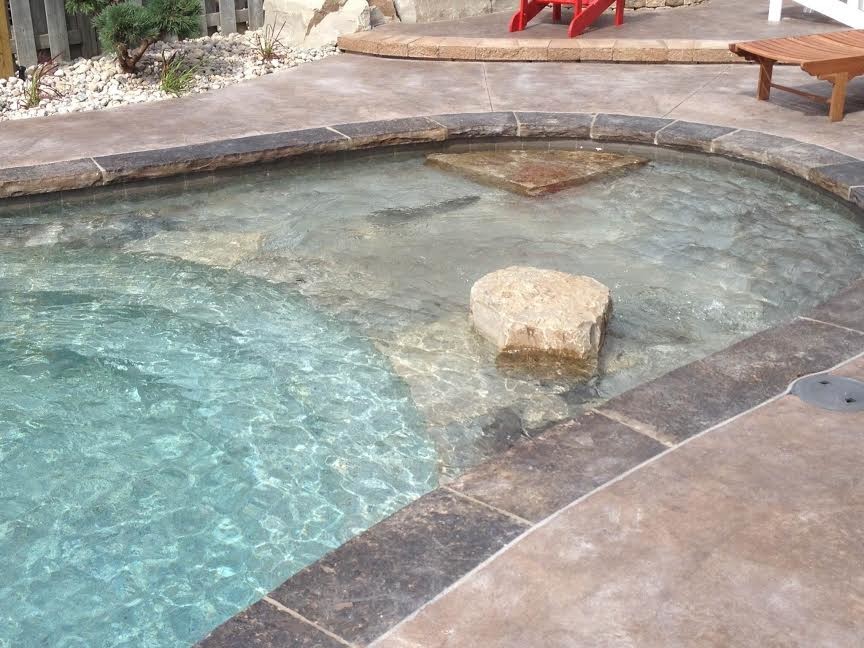 This is an example of a mid-sized transitional backyard custom-shaped natural pool in Toronto with a water feature and stamped concrete.