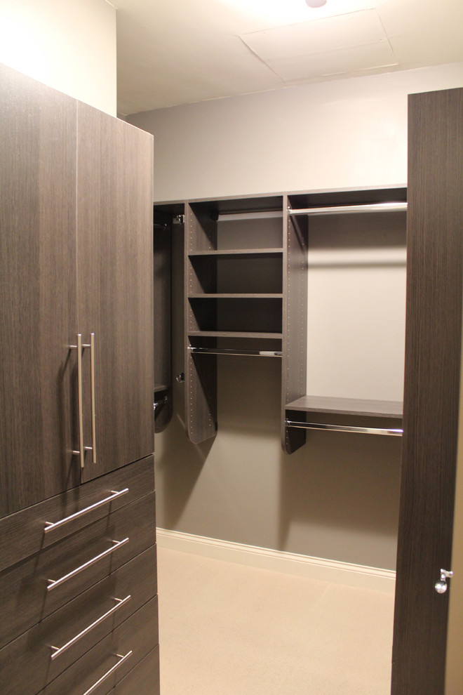 Design ideas for a contemporary storage and wardrobe in Chicago.