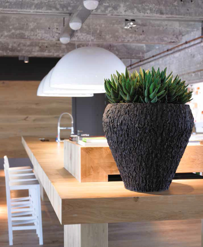 Композиция с комнатными растениями