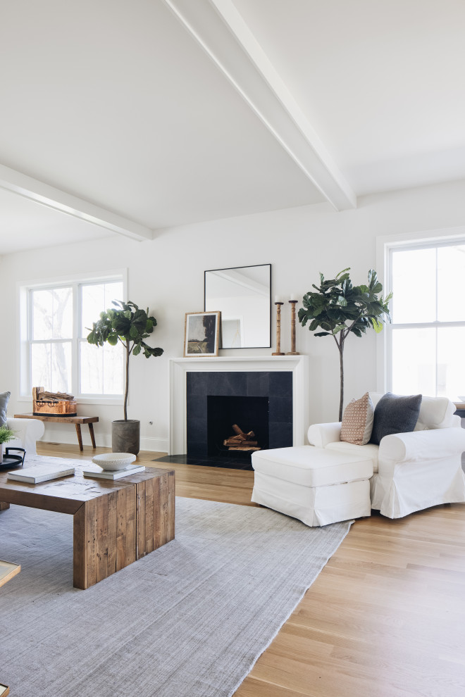 Transitional home design photo in Chicago