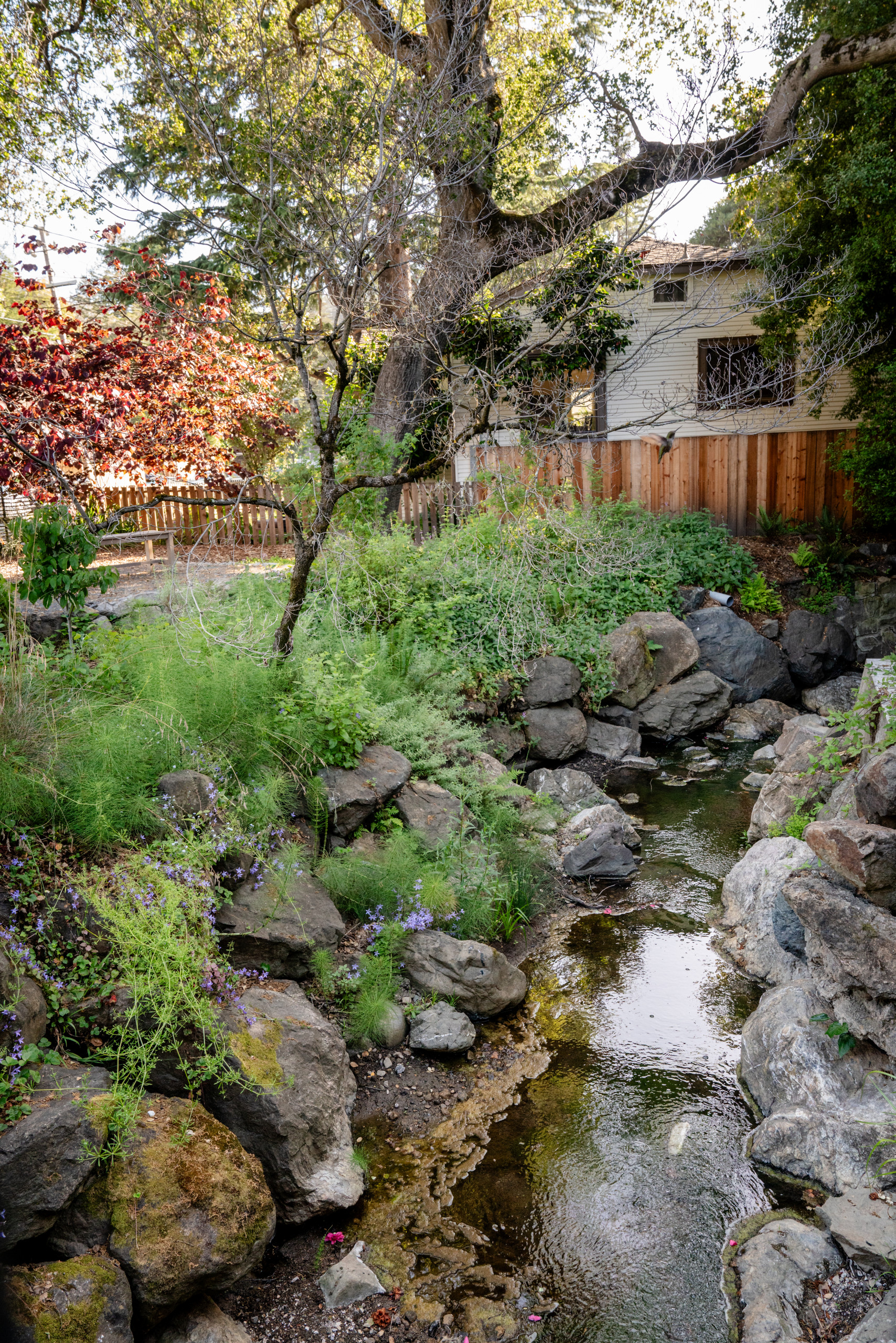 Creekside Restoration