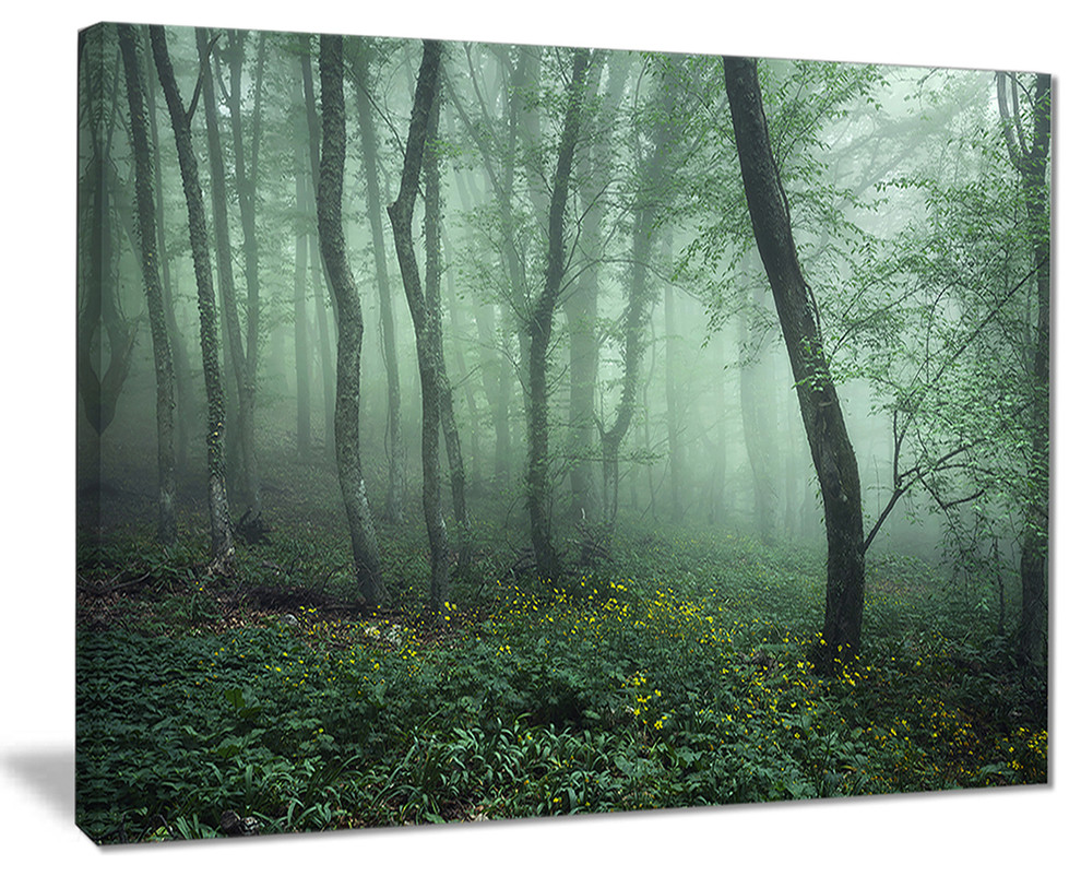 Trail Through Dark Foggy Forest Landscape Photo Wall Art Contemporary Prints And Posters By Design Art Usa Houzz Trail Through Dark Foggy Forest Landscape Photo Wall Art Contemporary Prints And Posters By Design Art Usa Houzz