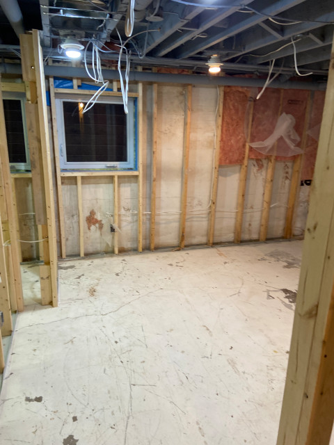 Full Basement Project 