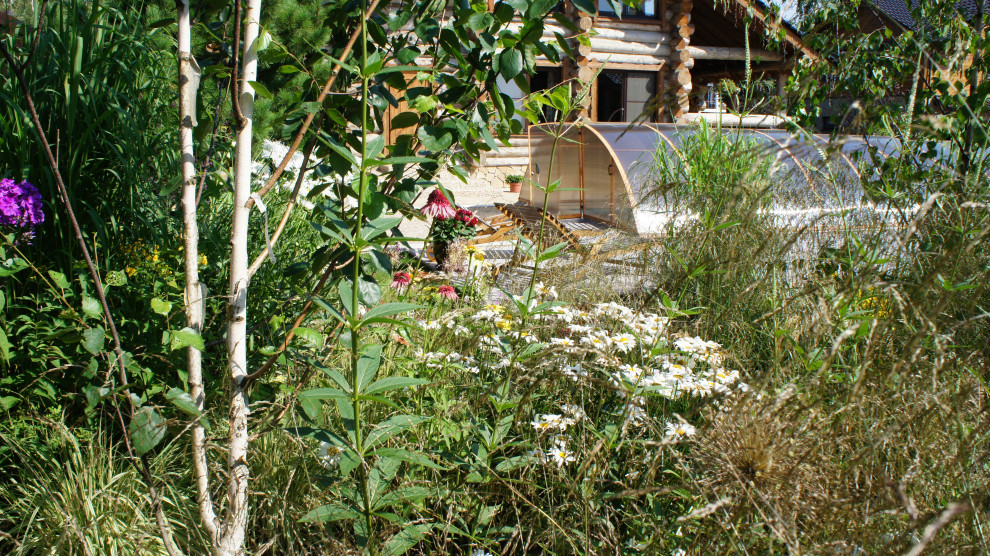 Прохорово лето 2017