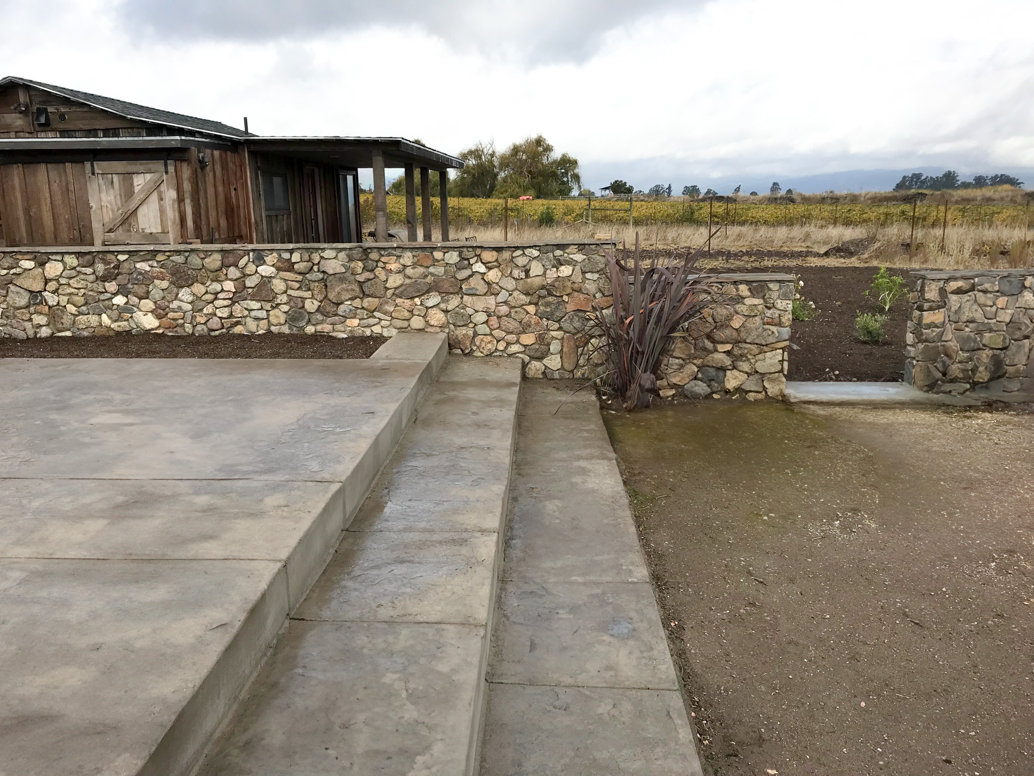 Stone Wall with a View in Sonoma