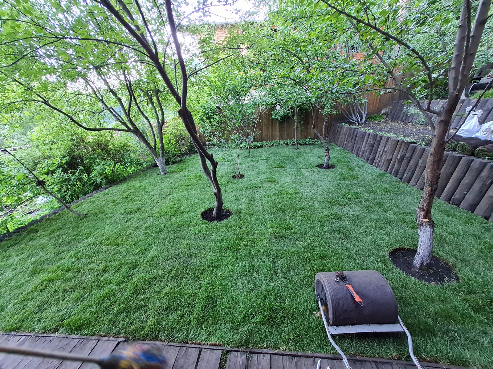 Рулонный газон Красноярск