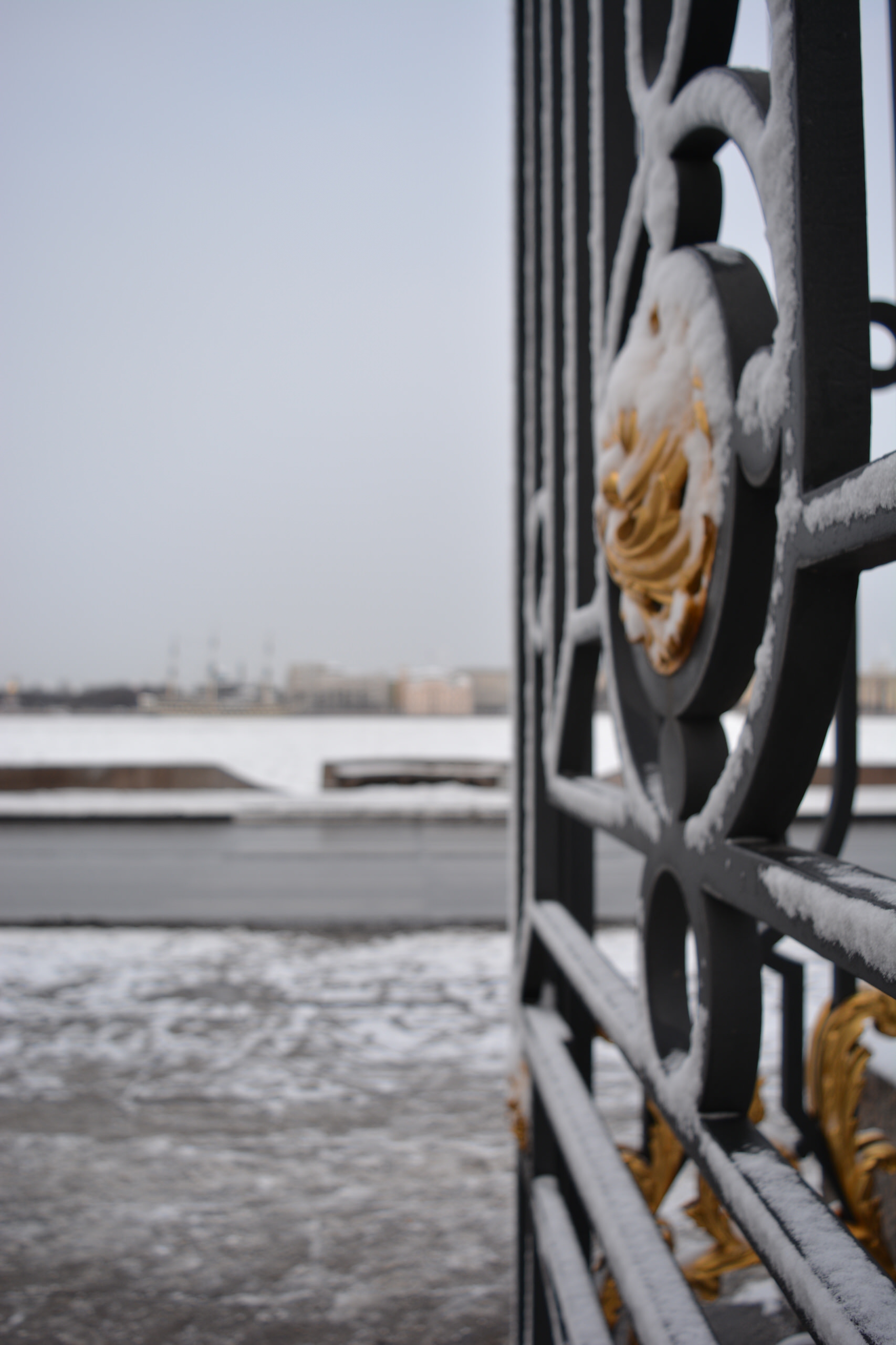 И в Летний сад гулять водил: 15 ландшафтных приемов с берегов Невы | Houzz  Россия