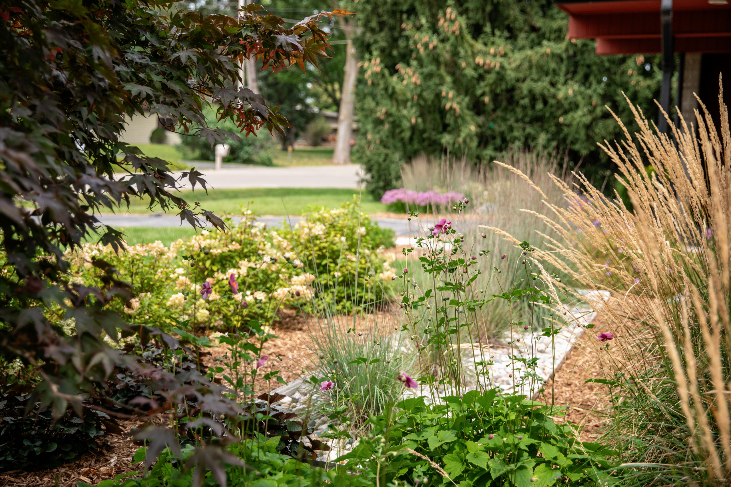 Mid-Century Modern Front Yard - East Lansing, MI