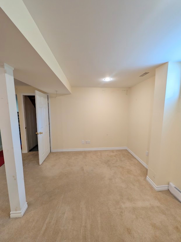 Basement Design+Build - Painting