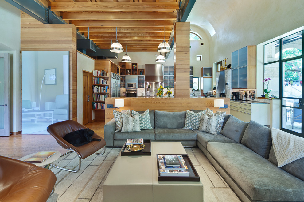 Inspiration for a contemporary family room in Austin.