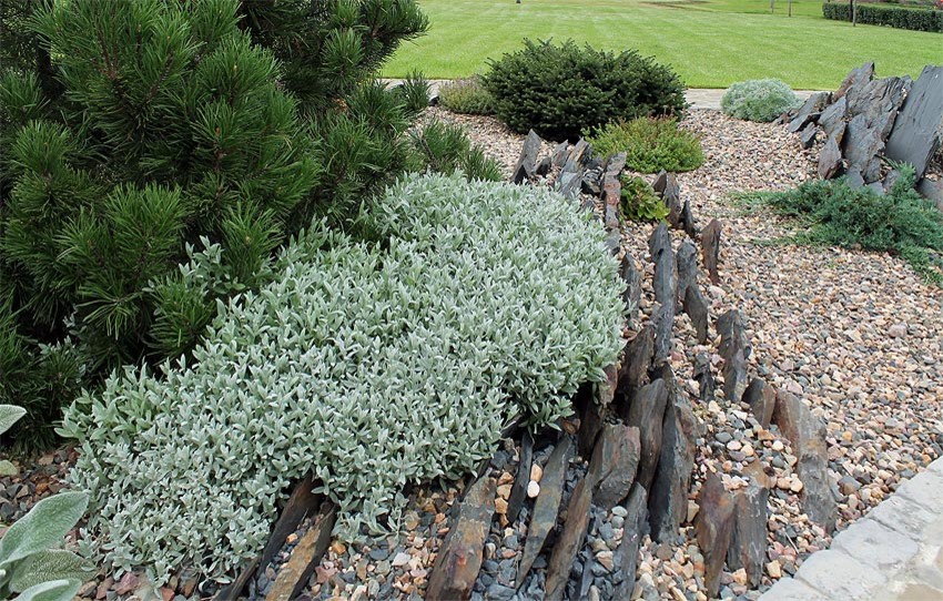 Тематический сад