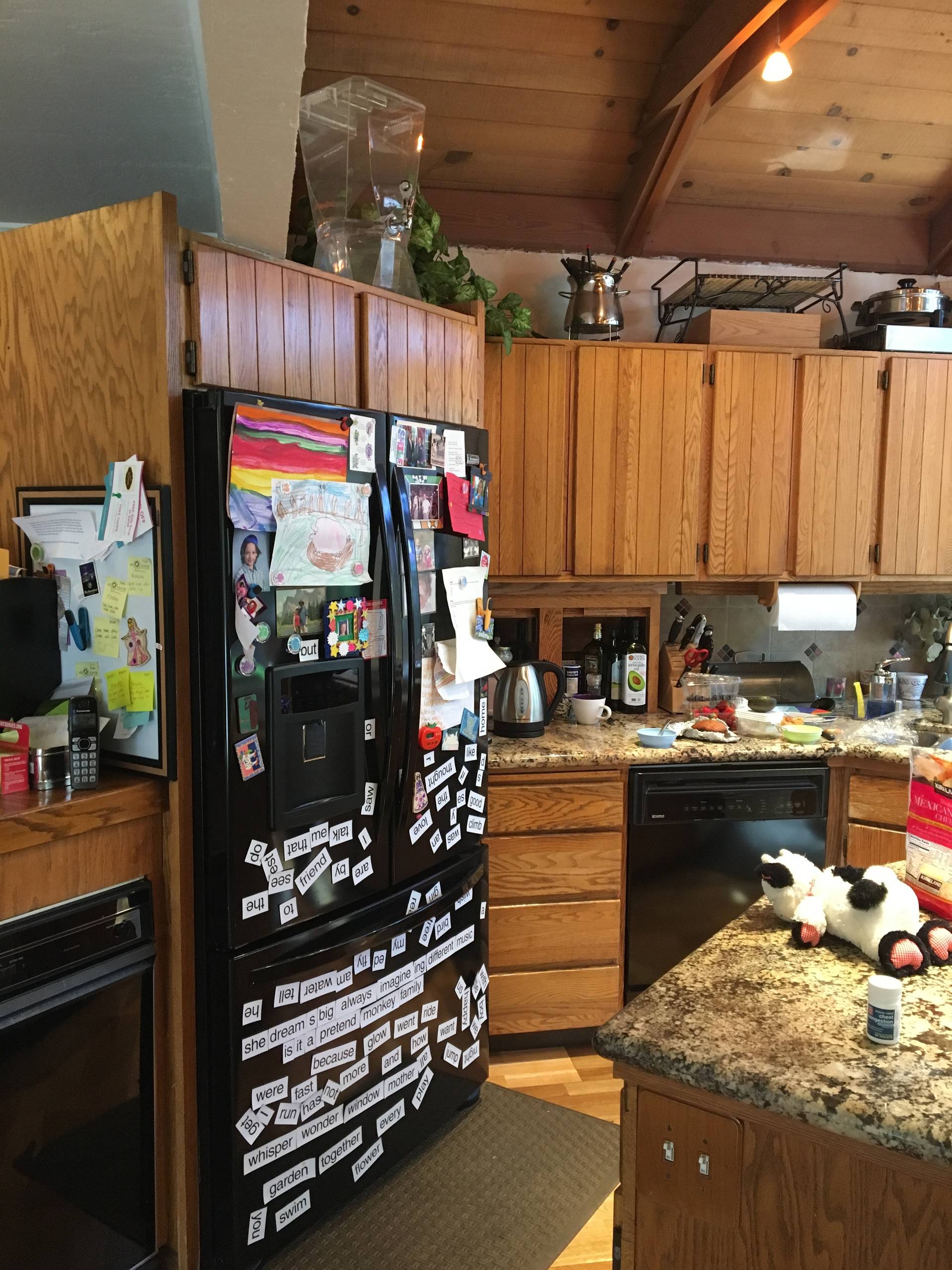 Feder - Kitchen Remodel